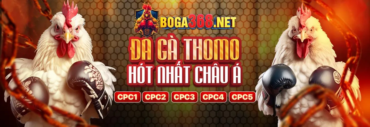 Mẹo bảo mật tài khoản 555win55