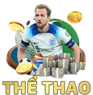 Quà Tặng Sinh Nhật & Lễ Tết